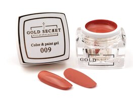Gold Secret Color & Paint 009