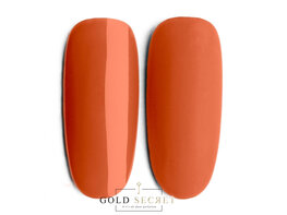 Gold Secret Gel Polish 113