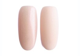 Gold Secret NN Builder Rainbow 1